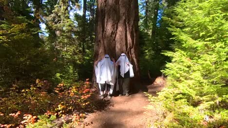 Zwei-Menschen-Tanzen-In-Einem-Wald,-Verkleidet-Als-Geister,-Neben-Einem-Massiven-Baum