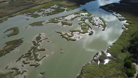Aerial-top-down-of-flooded-swamp-wetland-with-green-islands-during-sunny-day---Tilt-down-shot