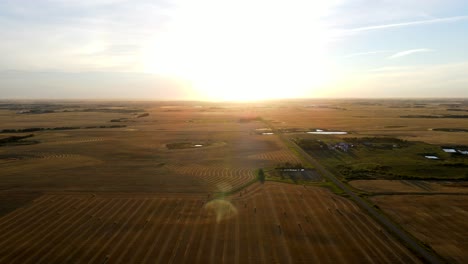 Aerial-4k-drone-footage-of-yellow-and-orange-wheat-fields-during-sunset-in-Alberta-prairies