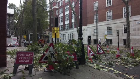 Worker-Cleaning-Up-Fallen-Branches-On-Dean-Bradley-Street-Past-Road-Closed-Signs