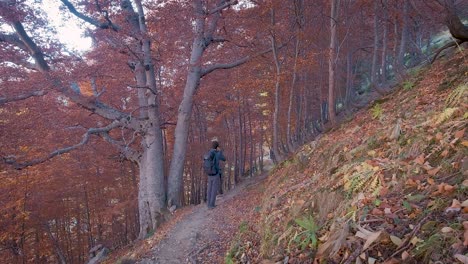 Back-view-of-Hiker-man-with-trekking-backpack-walking-on-trail-in-dark-autumn-woods-stops-and-takes-a-picture-with-his-smartphone-in-Ordesa-National-Park,-Spain
