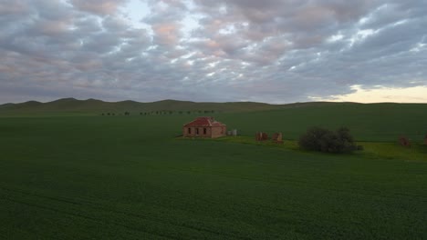 Aerial-ascending-view-Famous-Abandoned-House-in-Green-farmland,-Burra-Homestead