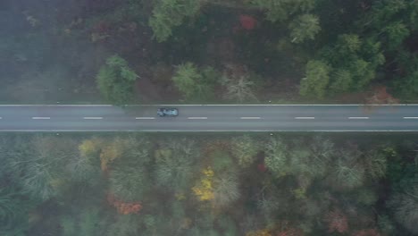 Fly-with-a-faster-driving-black-car-from-above-in-a-forest