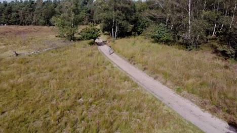 High-drone-shot-of-guy-walking-on-sand-path-in-nature