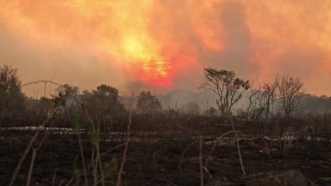 Aufsteigender-Rauch-Von-Einem-Lauffeuer-Im-Amazonas-Regenwald,-Der-Den-Sonnenuntergang-Trübt