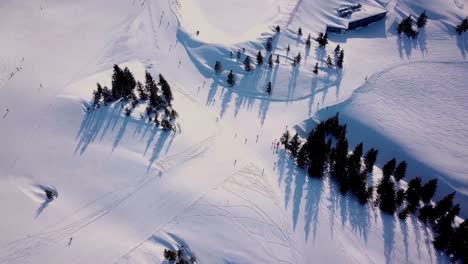 Luftaufnahme-Von-Menschen,-Die-Auf-Einem-Hügel,-Skigebiet-Skifahren-Und-Snowboarden