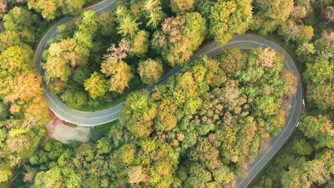 Timelapse-of-driving-cars-at-an-autumn-forest-in-a-double-curve---traveling-in-the-fall-season