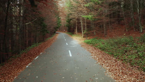 Forward-point-of-view-of-empty-autumn-forest-asphalt-road-full-of-brown-leaves