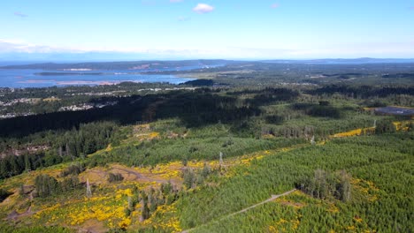 4k-aerial-footage-of-the-extension-ridge-area-near-Nanaimo,-BC