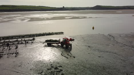 Oyster-beds-in-the-camel-estuary-at-low-tide