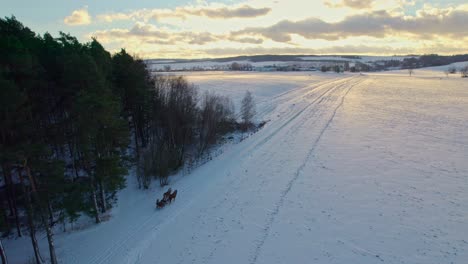 Drone-shot-following-a-sleigh-pulled-by-horses-on-a-snow-covered-pathway-beside-a-forest-on-a-cold-winter-evening