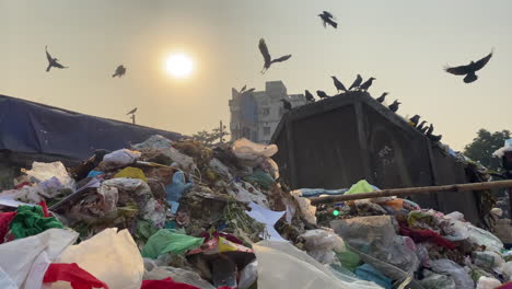 Nahaufnahme-Eines-Müllcontainers-Voller-Müll,-Während-Mehrere-Krähen-In-Den-Straßen-Indiens-Darüber-Fliegen