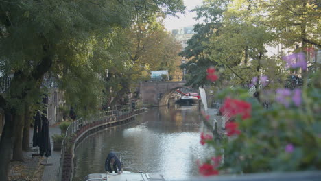 Fokusgestell-Von-Der-Bunten-Blume-Zum-Schönen-Kanal-In-Der-Stadt-Utrecht,-Niederlande---Breit