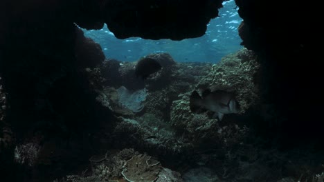 Underwater-view-swimming-through-a-natural-coral-reef-hole-below-the-blue-ocean-surface