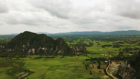 Limestone-formations-on-ripe-green-rice-paddies,-flat-lands-of-Southeast-Asia