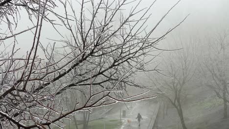 Niebla-Sombría-En-El-Día-De-Invierno-En-Kiev,-Ucrania