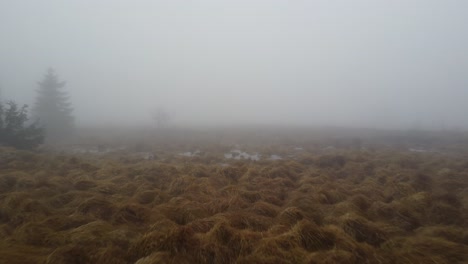 Swamplands-covered-in-dense-mist,-aerial-fly-backward-shot