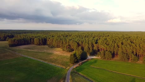 Stunning-aerial-flight-panorama-overview-drone-shot-forest-path-street-to-the-woods
in-nature-reserve-Müritz-Seen-Park-Mecklenburg-Brandenburg-Germany-Aerial-view