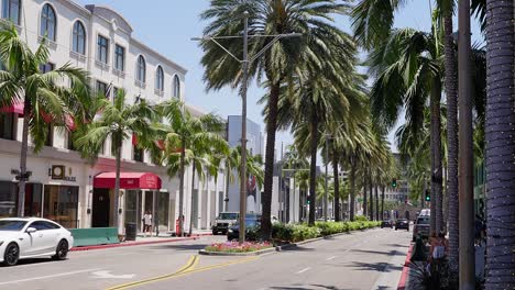 Rodeo-Drive,-Beverly-Hills-California