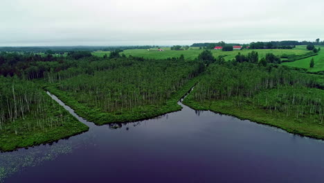Aerial-forwarding-shot-of-narrow-rivers-debouching-into-a-lake-surrounded-by-green-vegetation-on-a-cloudy-day-in-the-countryside