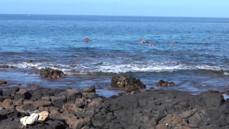 Hawaii-snorkeling-tours,-travel,-adventure,-4K-video-of-people-exploring-sea-life