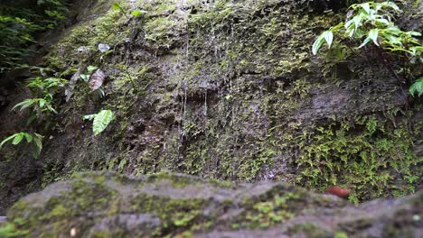 Close-up-slow-motion-shot-of-water-falling-down-rocks-in-a-rainforest-in-Costa-Rica