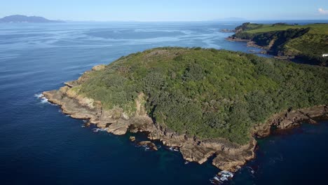 Kreisende-Antenne-über-Goat-Island,-Blühende-Vegetation-Und-Felsige-Küste,-Die-Den-Sie-Umgebenden,-Weiten-Und-Ruhigen-Ozean-Enthüllt,-Neuseeland