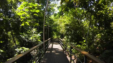 Subjective-view-advancing-towards-a-bridge-in-the-middle-of-a-tropical-forest-in-the-Osa-Peninsula,-Costa-Rica
