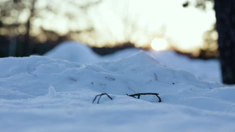 Ground-view-close-up-pan-of-small-twig-in-deep-snow-at-sunset