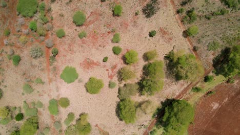 Drone-Mavic-Air-2-flying-over-the-hill-in-the-Africa-savanna-desert-zone