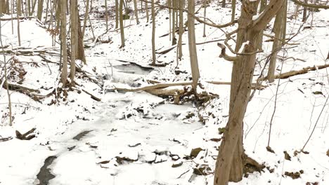 Stream-in-the-mountains-where-the-snow-has-begun-to-melt