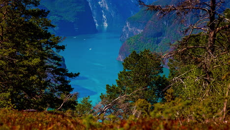 Lapso-De-Tiempo-Aéreo-De-Los-Barcos-De-Crucero-En-El-Fiordo-De-Color-Azul-Entre-Las-Montañas-Noruegas-Durante-El-Día-Soleado-En-Otoño---Amplia-Toma-Entre-Hojas-De-árboles-De-Colores