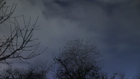 Nubes-Moviéndose-En-El-Cielo-Sobre-árboles-Con-Rayos-En-La-Noche