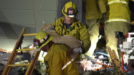 Firefighters-rescue-dog-from-home