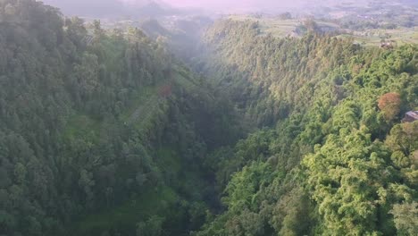 Langsamer-Luftflug-über-Die-Grüne-Natur-Indonesiens-An-Nebligen-Und-Sonnigen-Tagen---Idyllische-Landschaft-Mit-Schluchten,-Bergen-Und-Wachsenden-Pflanzen-Und-Bäumen
