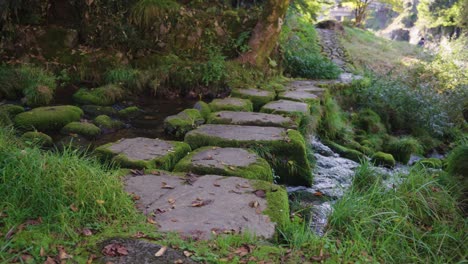 Secret-Moss-Covered-Stone-Path-Over-Stream-in-Gujo-Hachiman,-Gifu-Japan