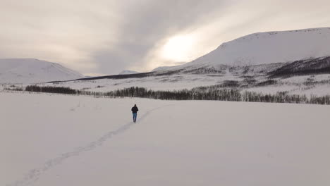 Hombre-Solitario-Caminando-Por-Las-Llanuras-Cubiertas-De-Nieve-Del-Valle-De-Oldvikdalen-En-Noruega---Toma-Aérea-De-Seguimiento