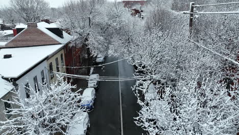 Snow-covered-trees-in-American-town