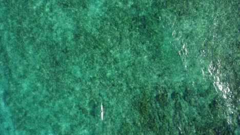 Ein-Einsames-Kajak,-Das-Im-Ruhigen,-Klaren,-Türkisfarbenen-Meerwasser-Vor-Der-Küste-Spaniens-Paddelt