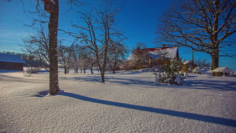 Schöne-Winterlandschaft-Mit-Blattlosen-Bäumen-Gegen-Blauen-Himmel-Und-Sich-Bewegendes-Sonnenlicht,-Zeitraffer