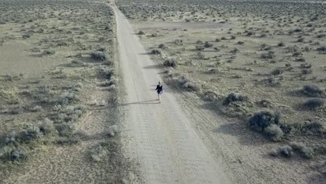 Frau,-Die-Allein-Auf-Der-Straße-Geht,-Langer-Schatten,-Herrlicher-Luftbildflug,-Neigt-Sich-Langsam-Zu-Einem-Panorama-Drohnenmaterial,-Mojave-Wüstental,-USA-2018