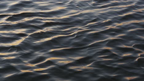 Steady-shot-of-danubian-water-with-sunrise-light-reflections
