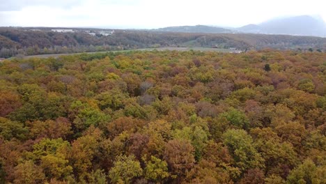 Drohnenaufnahme-Des-Herbstwaldes-Mit-Bunten-Blättern-Und-Horizont