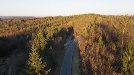 Low-aerial-fly-over-view-of-a-thin-forest-road-at-sunset