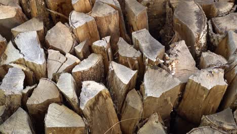 Sliding-Motion-of-Firewood-Stacked-in-a-Pile