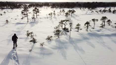 Aerial-view-of-a-solo-man-walking-with-snowshoes-in-a-bog-covered-with-snow