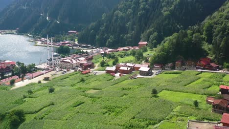 aerial-drone-flying-across-farmland-in-the-mountain-village-of-Uzungol-Trabzon-on-a-sunny-summer-day-with-a-mosque-near-a-beautiful-lake-in-Turkey