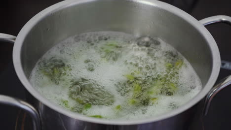 Mexican-Cactus-cooking-in-boiling-water