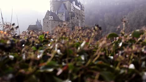 The-bushy-hedges-around-Eltz-Castle-on-a-beautiful-foggy-winter-morning