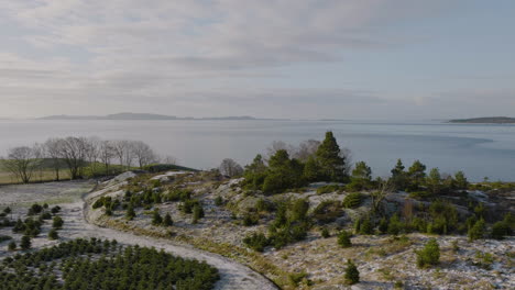 Scenic-Ocean-Near-Christmas-Tree-Plantation---aerial-drone-shot